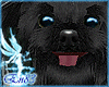 [En] Toto dog