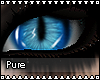 Blue ~ Cat Eyes [F]