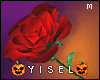 Y. Killer Prince Rose