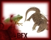 BFX Frog & Komodo Dragon