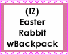 Easter Rabbit wBackpack