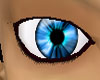Ephramadi Blue Eyes(M)