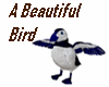 A Beautiful Bird Avatar