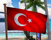 Şanlı Türk Bayrağ