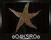 4K .:Sunset Starfish Dec