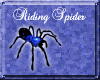 [bswf]blu & black spider