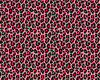 Pink Leopard