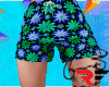 Short Summer Beach
