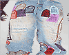 WDW szs1-V2