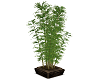 ~EB1~ ElegantLoft Plant2