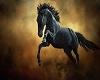 black beauty horse rug