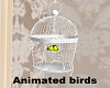 C/Suite Animated Birds