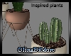 (OD) Inspired plants