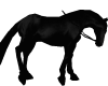 Black Animated Horse+s