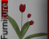 Red Tulips Plant