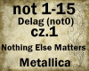Nothing Else Matters cz1