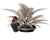 Remember Plant