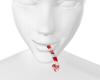 [T]Candy Cane