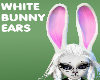 long white rabbit ears