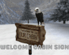 *Welcome Cabin Sign