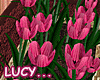 ~LC~ Pink Tulip