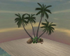Little Beach Palms