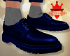 D. Blue Leather Shoes