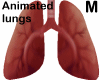 lungs inside - ANI - M