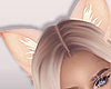 LIttle Kitty Ears