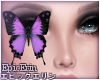 [E]*Eye Butterfly 7*