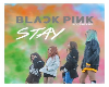 Stay-Black Pink