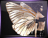 Fairy Wings Derivable <3