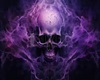 purple skull  club