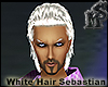 White Hair Sebastian