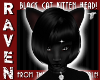 KITTEN HEAD BLACK CAT!