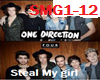 1Direction_Steal my Girl