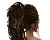 Brown ponytail