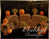 Halloween Photo  Chair