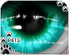 [Pets] Zorro | eyes v3