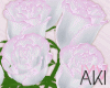 Aki 7 Pose Roses White