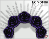 Black Rose Halo Crown