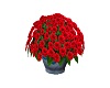 rose vase 