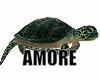 Amore Ocean Turtle
