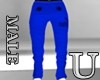 [UqR] Blue  pant