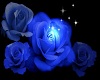 Falling Blue Roses