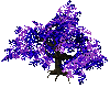 BigBurtha PurpleBlue Oak