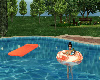 Orange pool float