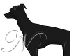 ~N~ Erte Black Greyhound