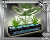 T||Zen Water Plants