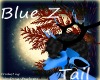 Blue Z Tail